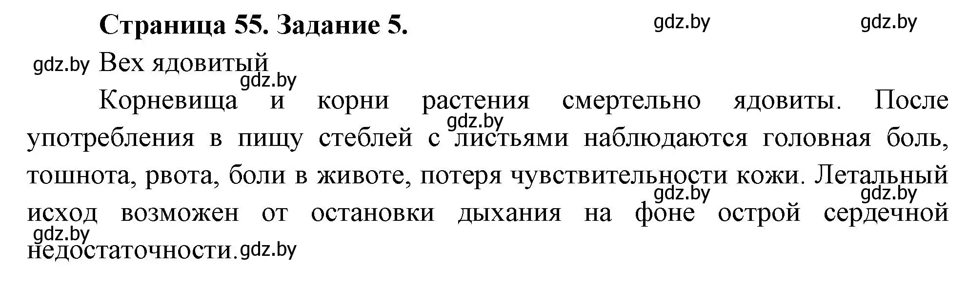 Решение номер 5 (страница 55) гдз по биологии 6 класс Лисов, Борщевская, рабочая тетрадь