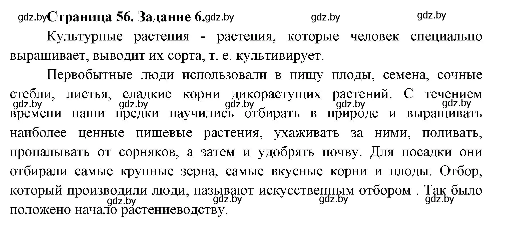 Решение номер 6 (страница 56) гдз по биологии 6 класс Лисов, Борщевская, рабочая тетрадь