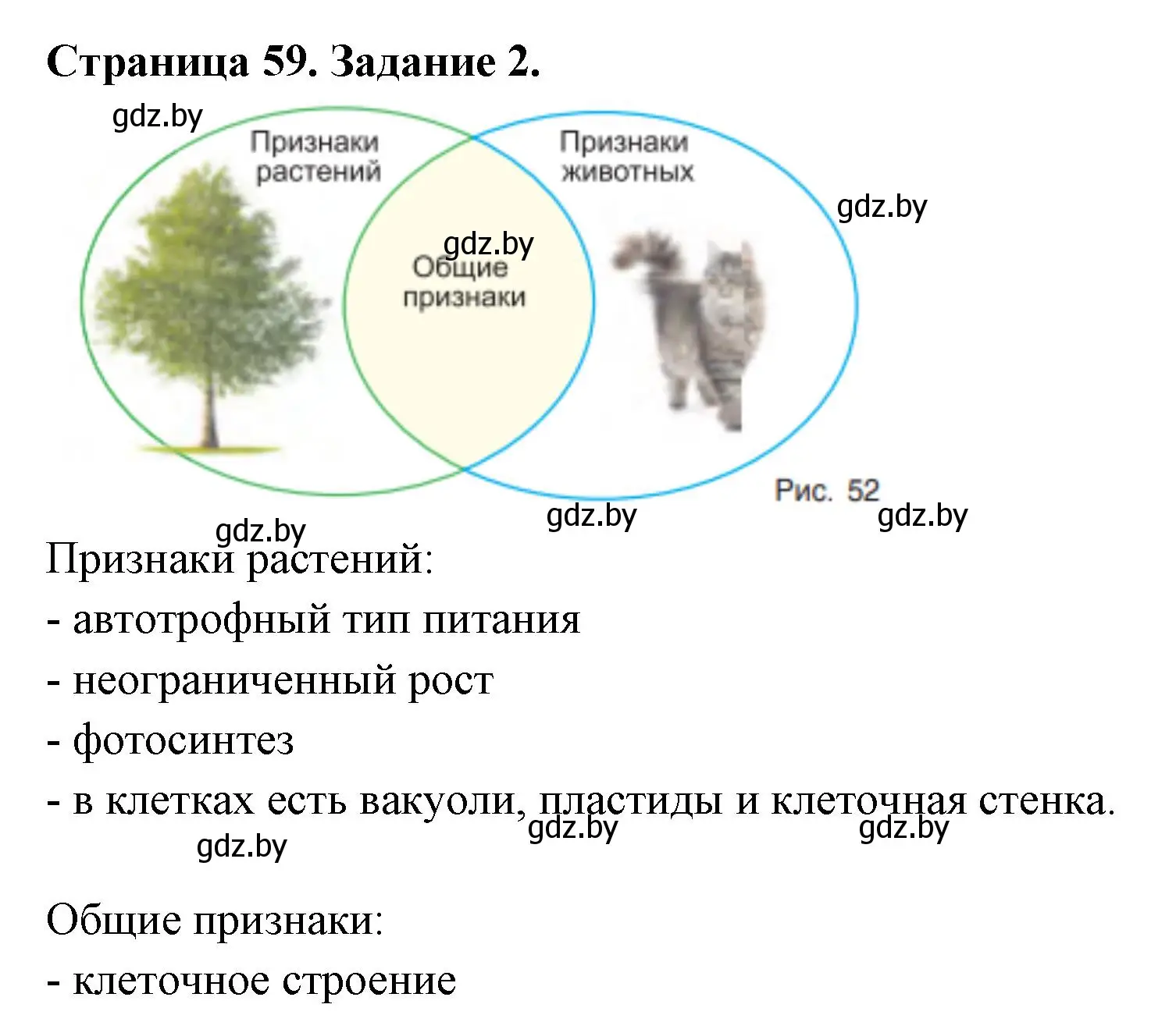 Решение номер 2 (страница 59) гдз по биологии 6 класс Лисов, Борщевская, рабочая тетрадь