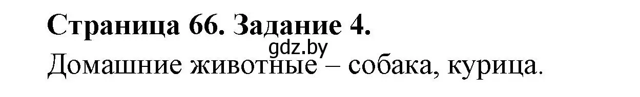 Решение номер 4 (страница 66) гдз по биологии 6 класс Лисов, Борщевская, рабочая тетрадь