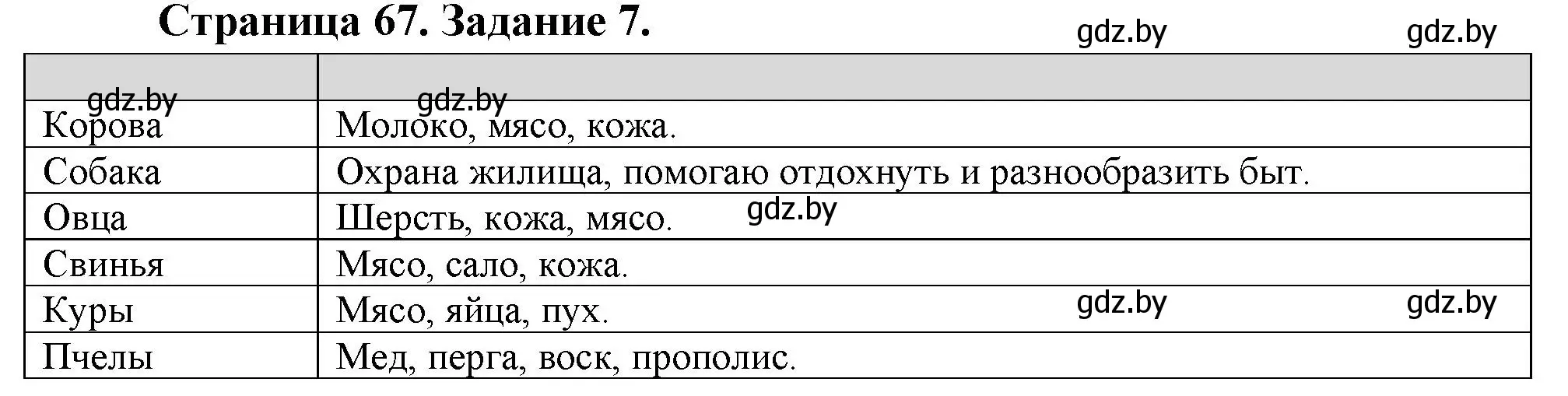 Решение номер 7 (страница 67) гдз по биологии 6 класс Лисов, Борщевская, рабочая тетрадь