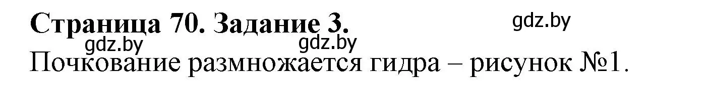 Решение номер 3 (страница 70) гдз по биологии 6 класс Лисов, Борщевская, рабочая тетрадь