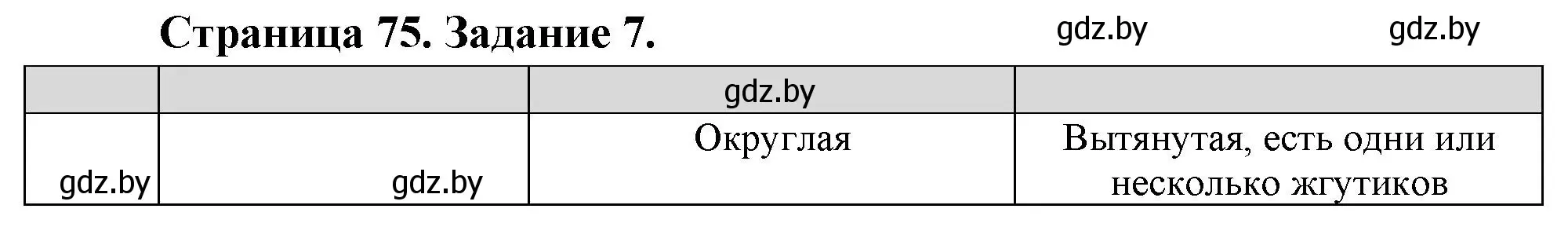 Решение номер 7 (страница 75) гдз по биологии 6 класс Лисов, Борщевская, рабочая тетрадь