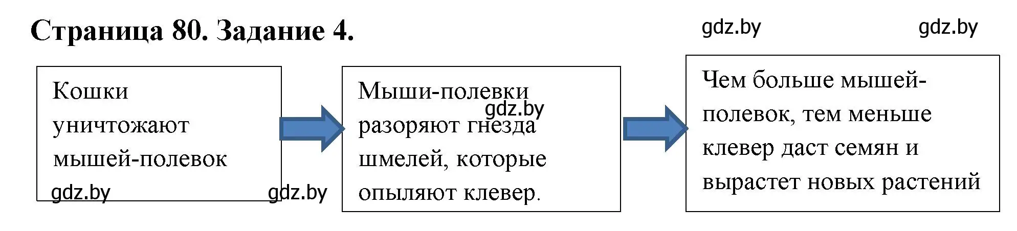 Решение номер 4 (страница 80) гдз по биологии 6 класс Лисов, Борщевская, рабочая тетрадь