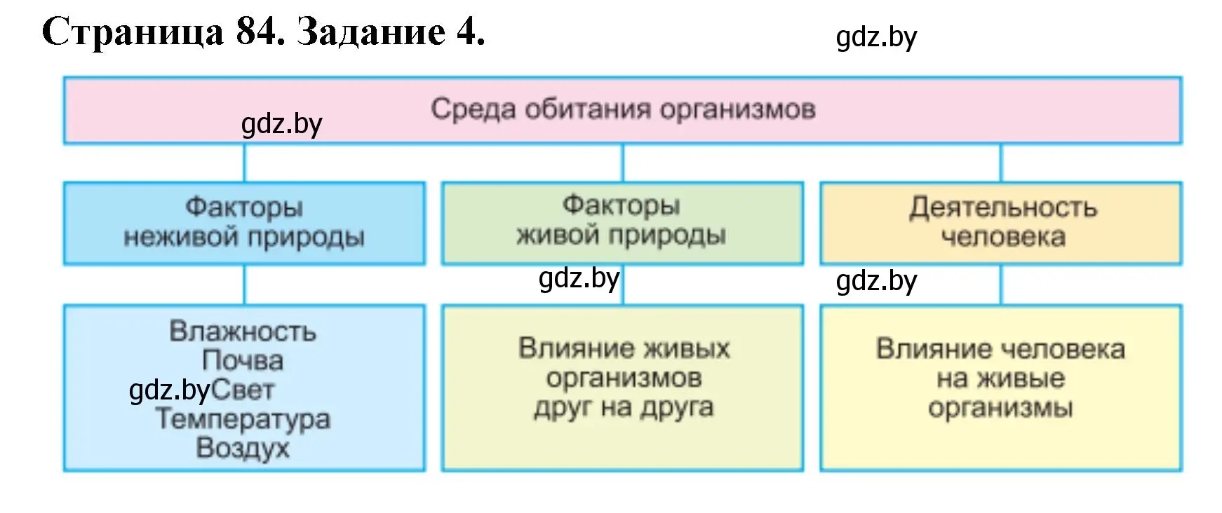 Решение номер 4 (страница 84) гдз по биологии 6 класс Лисов, Борщевская, рабочая тетрадь