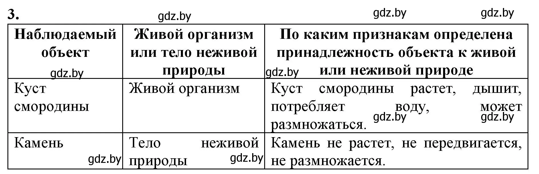 Решение номер 3 (страница 13) гдз по биологии 6 класс Лисов, Борщевская, тетрадь для лабораторных и практических работ