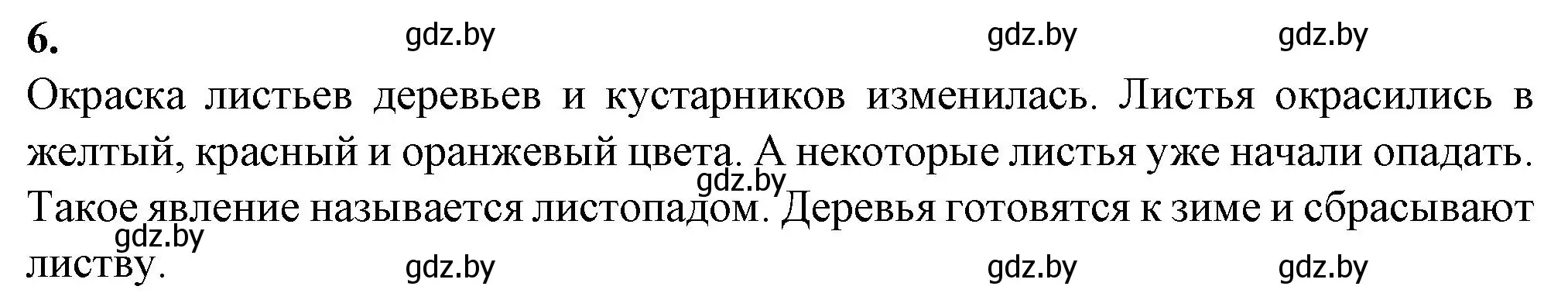 Решение номер 6 (страница 15) гдз по биологии 6 класс Лисов, Борщевская, тетрадь для лабораторных и практических работ