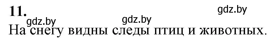 Решение номер 11 (страница 31) гдз по биологии 6 класс Лисов, Борщевская, тетрадь для лабораторных и практических работ