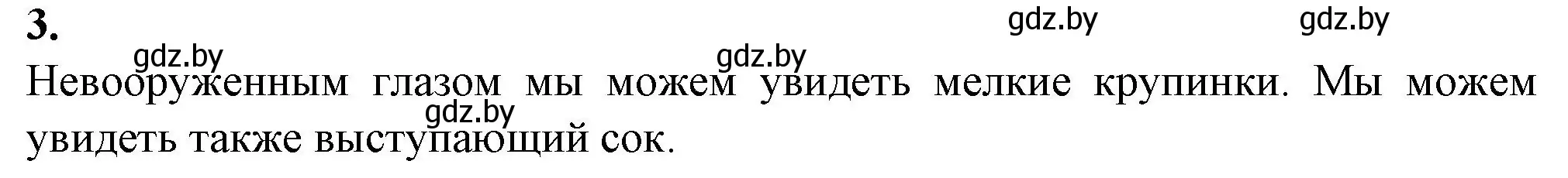 Решение номер 3 (страница 5) гдз по биологии 6 класс Лисов, Борщевская, тетрадь для лабораторных и практических работ