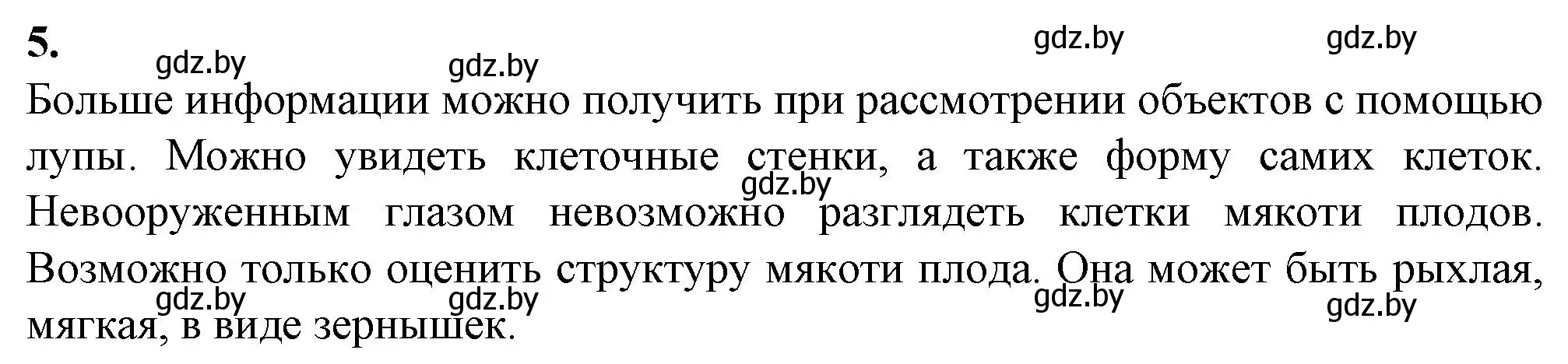 Решение номер 5 (страница 5) гдз по биологии 6 класс Лисов, Борщевская, тетрадь для лабораторных и практических работ