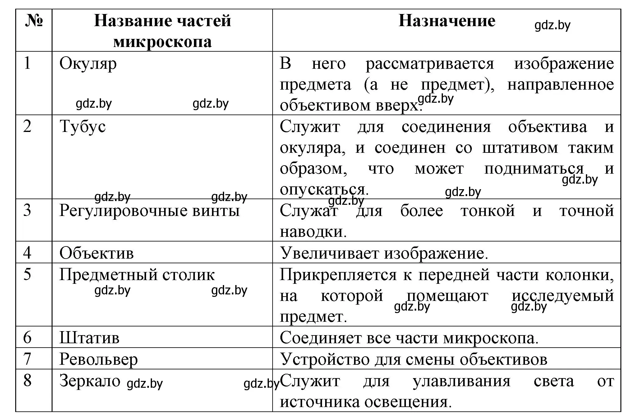 Решение номер 3 (страница 7) гдз по биологии 6 класс Лисов, Борщевская, тетрадь для лабораторных и практических работ