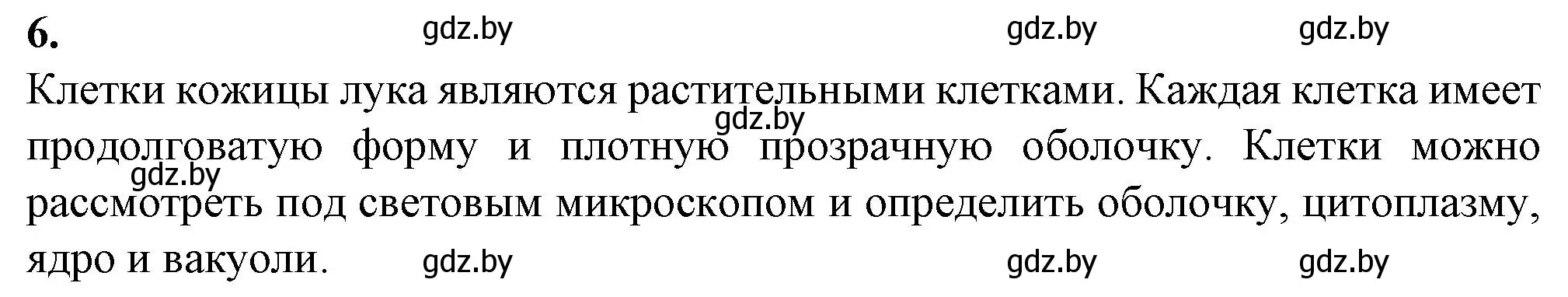 Решение номер 6 (страница 21) гдз по биологии 6 класс Лисов, Борщевская, тетрадь для лабораторных и практических работ