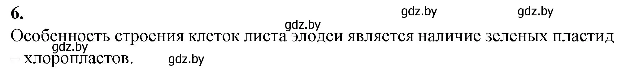 Решение номер 6 (страница 23) гдз по биологии 6 класс Лисов, Борщевская, тетрадь для лабораторных и практических работ