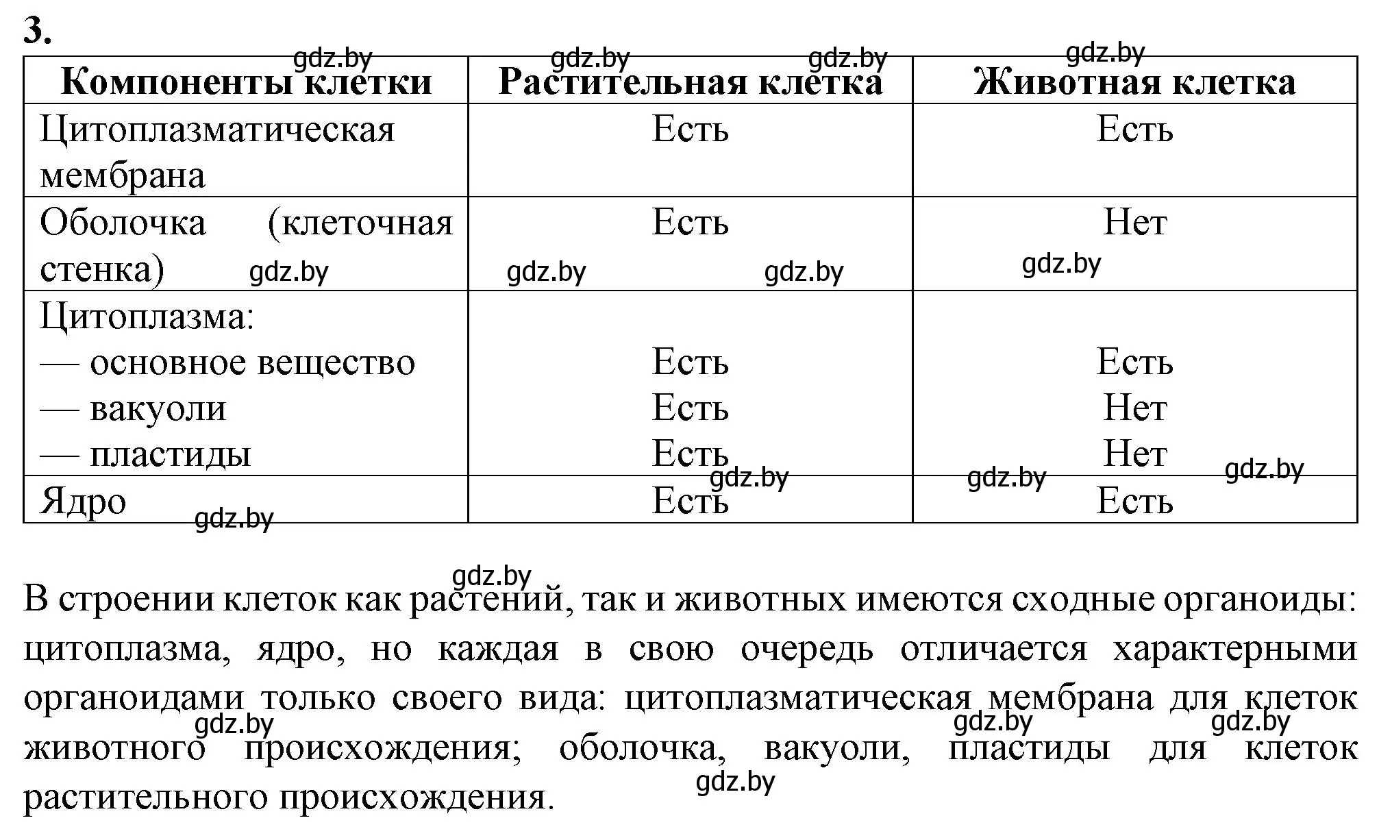 Решение номер 3 (страница 25) гдз по биологии 6 класс Лисов, Борщевская, тетрадь для лабораторных и практических работ