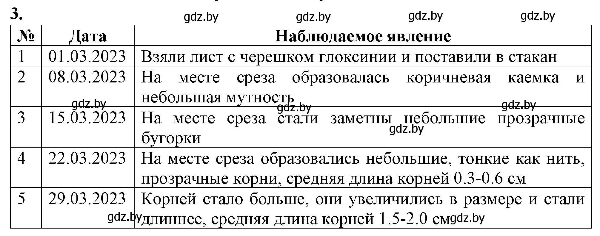 Решение номер 3 (страница 32) гдз по биологии 6 класс Лисов, Борщевская, тетрадь для лабораторных и практических работ