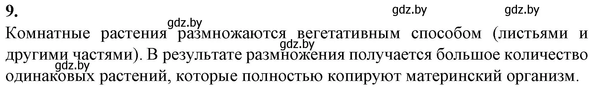 Решение номер 9 (страница 35) гдз по биологии 6 класс Лисов, Борщевская, тетрадь для лабораторных и практических работ