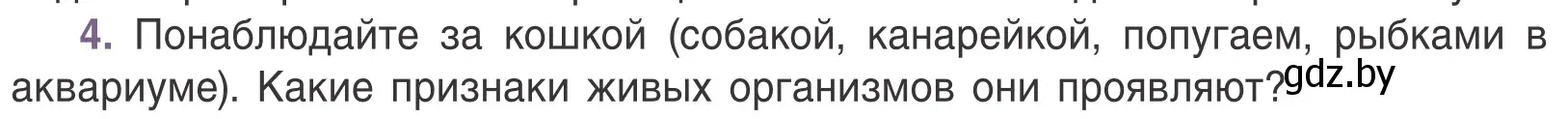 Условие номер 4 (страница 14) гдз по биологии 6 класс Лисов, учебник