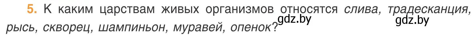 Условие номер 5 (страница 39) гдз по биологии 6 класс Лисов, учебник