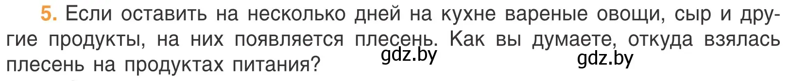 Условие номер 5 (страница 54) гдз по биологии 6 класс Лисов, учебник