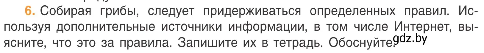 Условие номер 6 (страница 54) гдз по биологии 6 класс Лисов, учебник