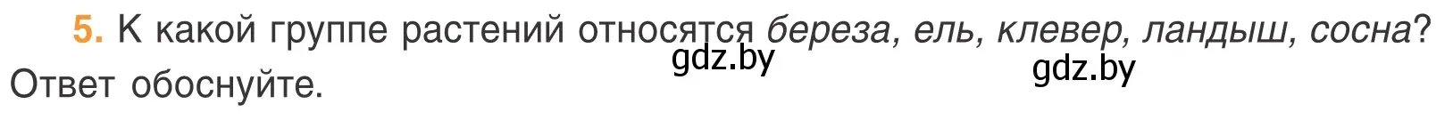 Условие номер 5 (страница 58) гдз по биологии 6 класс Лисов, учебник