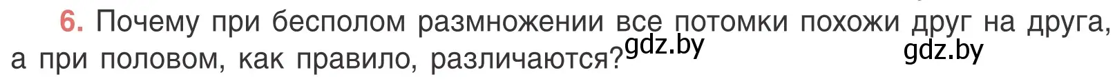 Условие номер 6 (страница 96) гдз по биологии 6 класс Лисов, учебник