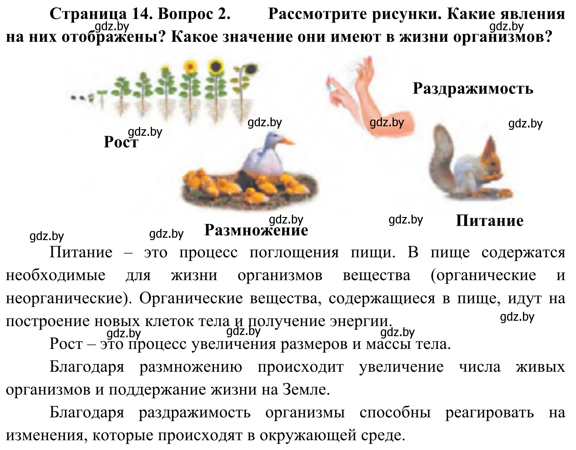 Решение номер 2 (страница 14) гдз по биологии 6 класс Лисов, учебник