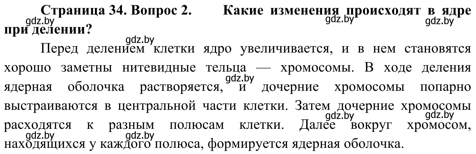 Решение номер 2 (страница 34) гдз по биологии 6 класс Лисов, учебник