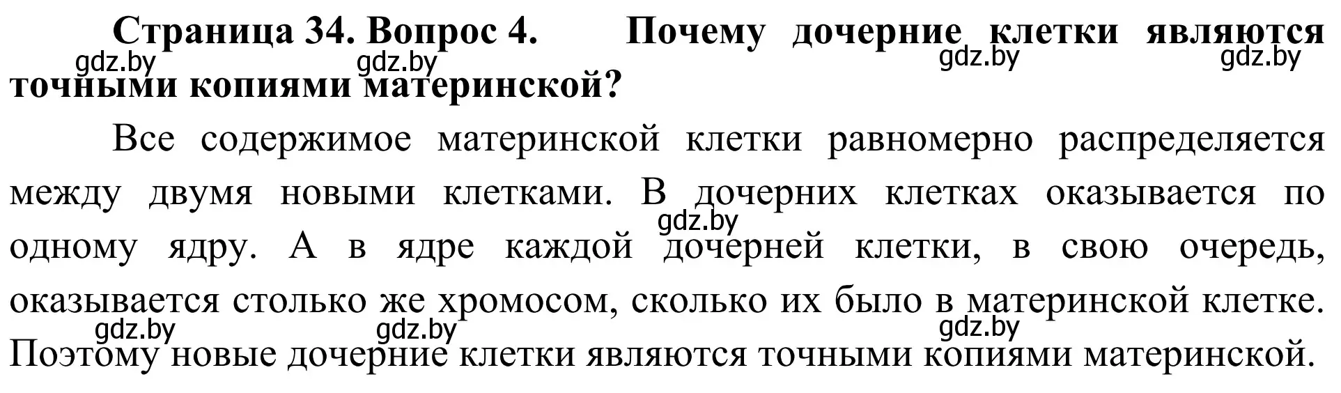 Решение номер 4 (страница 34) гдз по биологии 6 класс Лисов, учебник