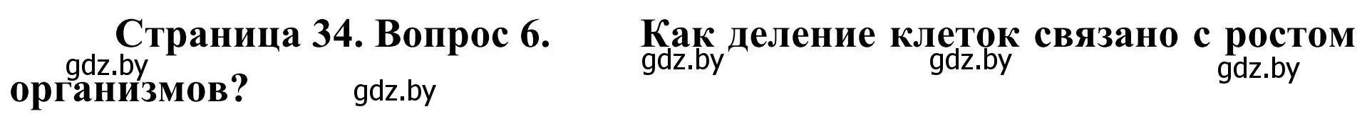 Решение номер 6 (страница 34) гдз по биологии 6 класс Лисов, учебник