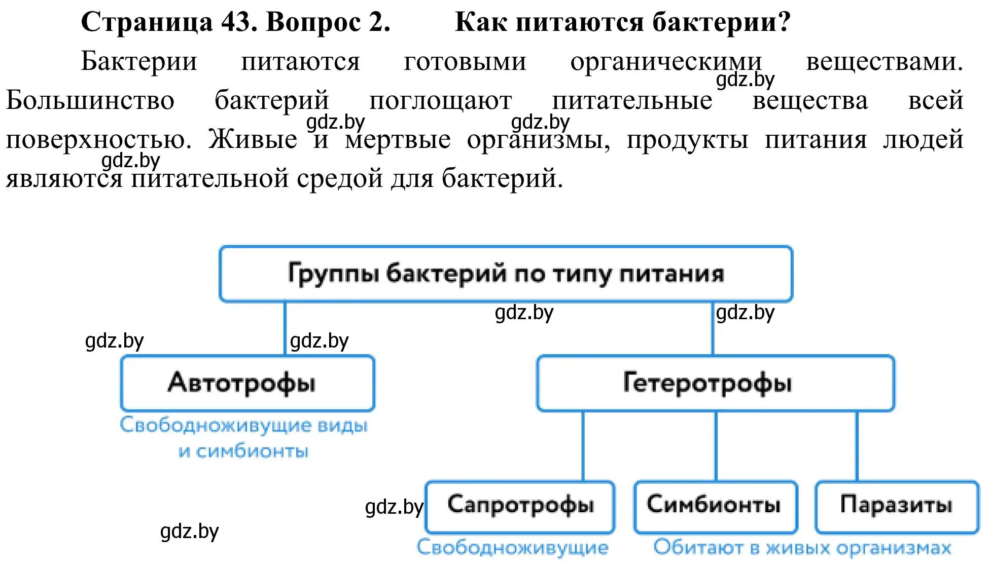 Решение номер 2 (страница 43) гдз по биологии 6 класс Лисов, учебник