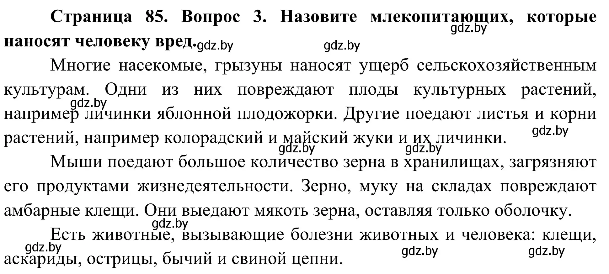 Решение номер 3 (страница 85) гдз по биологии 6 класс Лисов, учебник