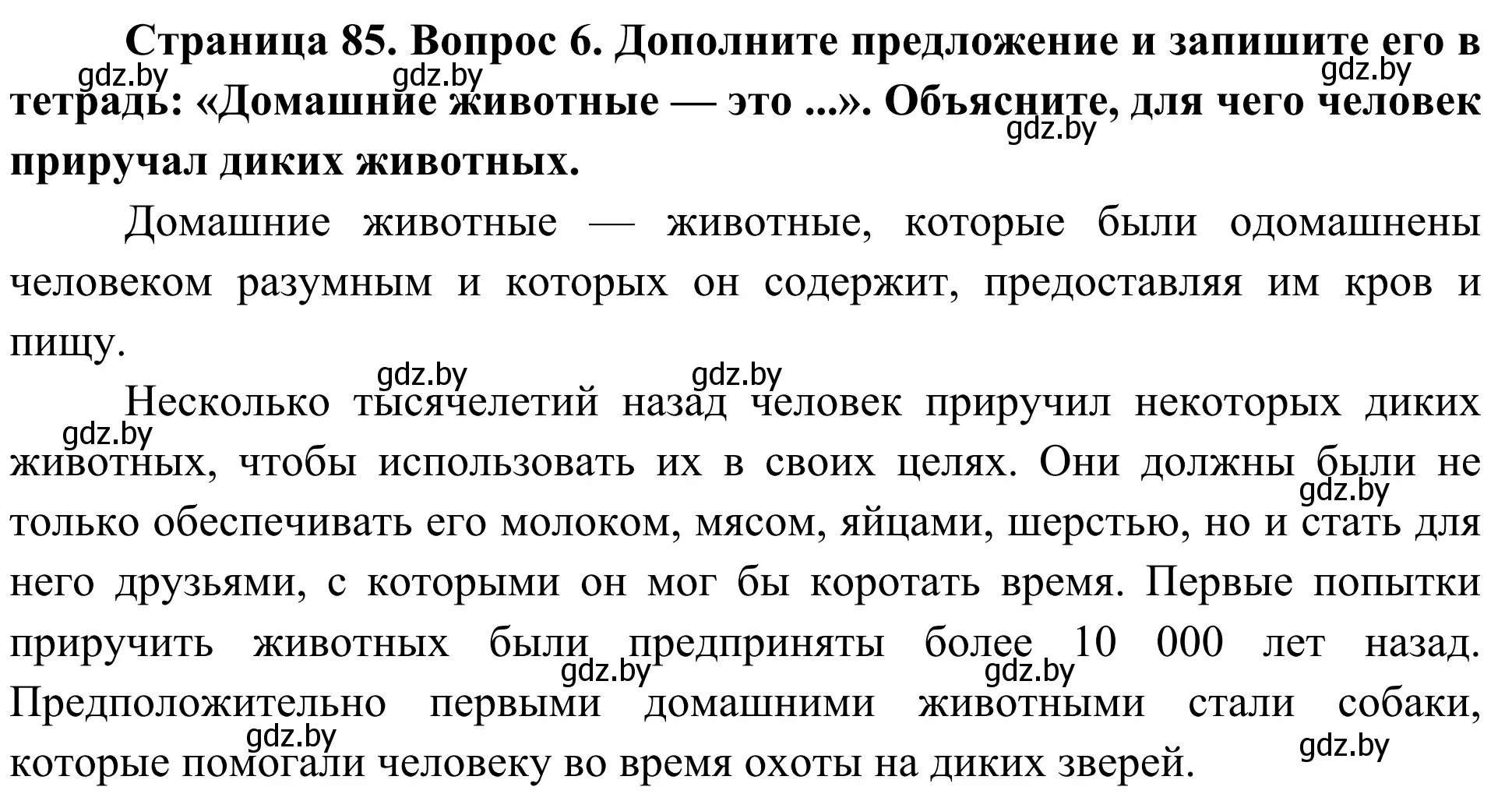 Решение номер 6 (страница 85) гдз по биологии 6 класс Лисов, учебник