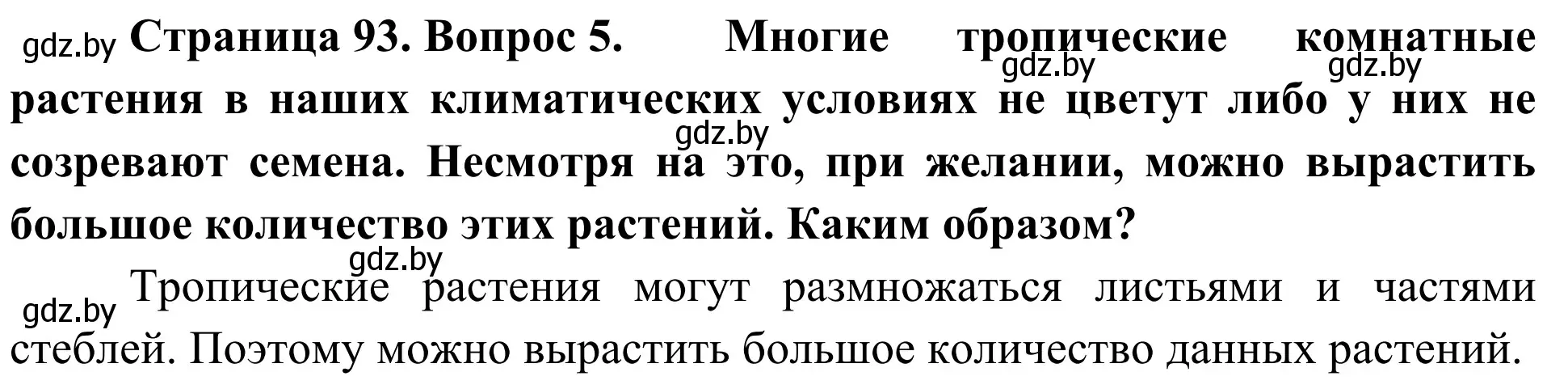 Решение номер 5 (страница 93) гдз по биологии 6 класс Лисов, учебник