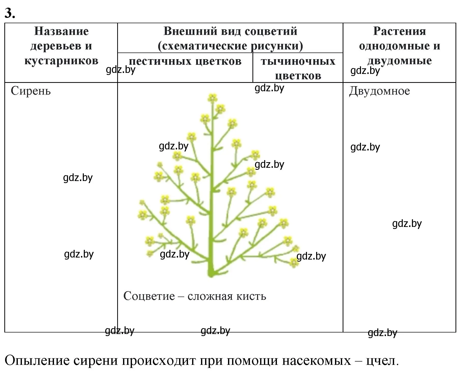 Решение номер 3 (страница 61) гдз по биологии 7 класс Лисов, тетрадь для лабораторных и практических работ