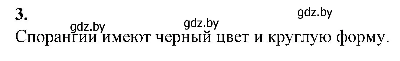 Решение номер 3 (страница 11) гдз по биологии 7 класс Лисов, тетрадь для лабораторных и практических работ