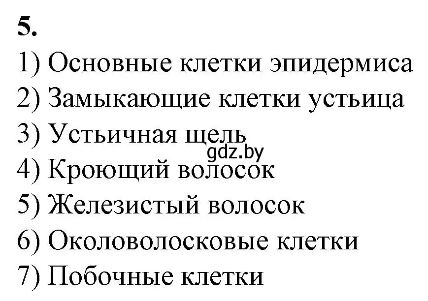 Решение номер 5 (страница 18) гдз по биологии 7 класс Лисов, тетрадь для лабораторных и практических работ