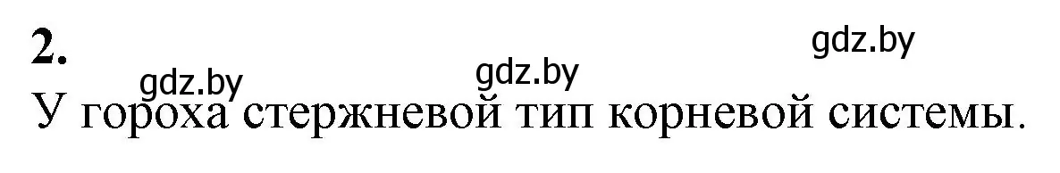 Решение номер 2 (страница 28) гдз по биологии 7 класс Лисов, тетрадь для лабораторных и практических работ