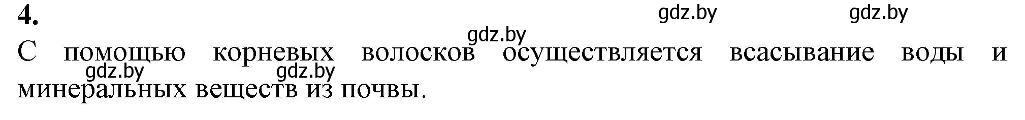 Решение номер 4 (страница 29) гдз по биологии 7 класс Лисов, тетрадь для лабораторных и практических работ