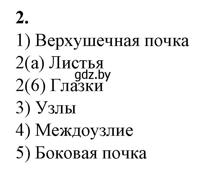 Решение номер 2 (страница 39) гдз по биологии 7 класс Лисов, тетрадь для лабораторных и практических работ