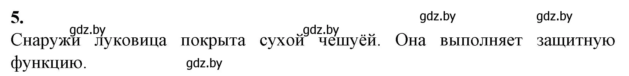 Решение номер 5 (страница 40) гдз по биологии 7 класс Лисов, тетрадь для лабораторных и практических работ