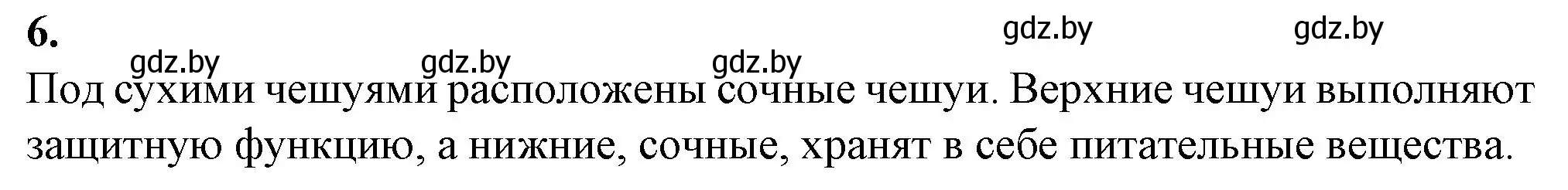 Решение номер 6 (страница 41) гдз по биологии 7 класс Лисов, тетрадь для лабораторных и практических работ