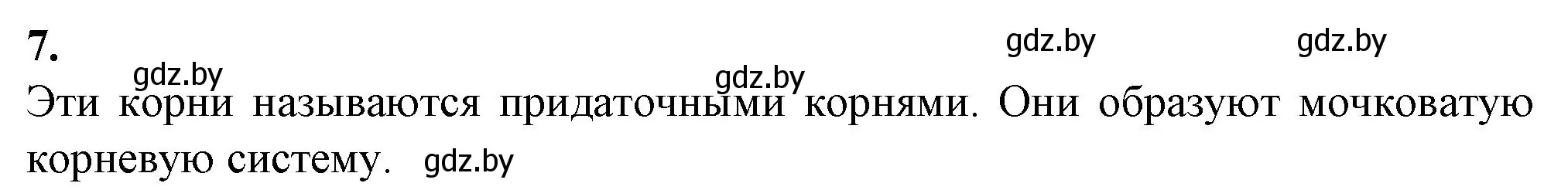 Решение номер 7 (страница 41) гдз по биологии 7 класс Лисов, тетрадь для лабораторных и практических работ