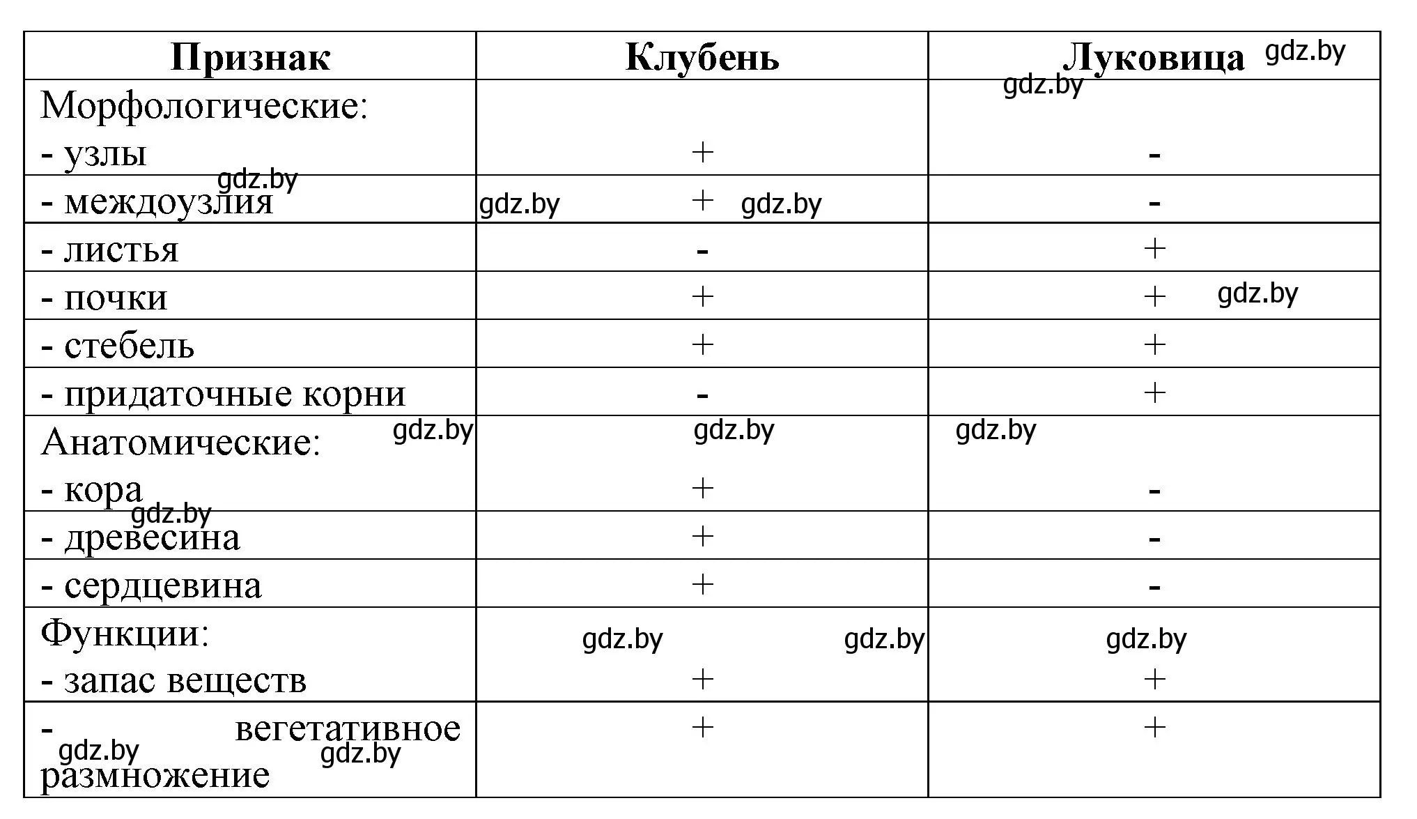 Решение номер 9 (страница 41) гдз по биологии 7 класс Лисов, тетрадь для лабораторных и практических работ