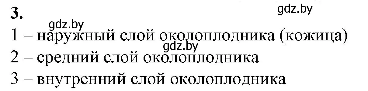 Решение номер 3 (страница 53) гдз по биологии 7 класс Лисов, тетрадь для лабораторных и практических работ