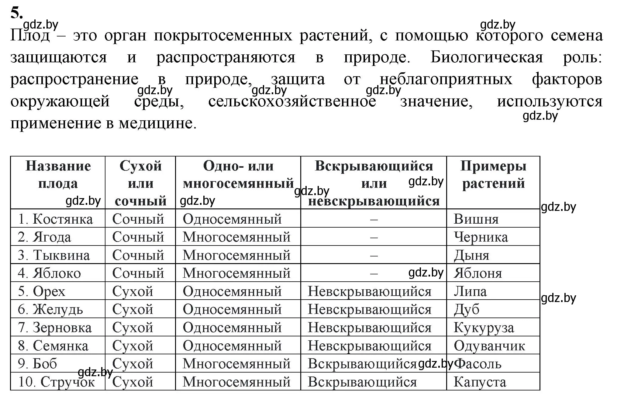 Решение номер 5 (страница 53) гдз по биологии 7 класс Лисов, тетрадь для лабораторных и практических работ