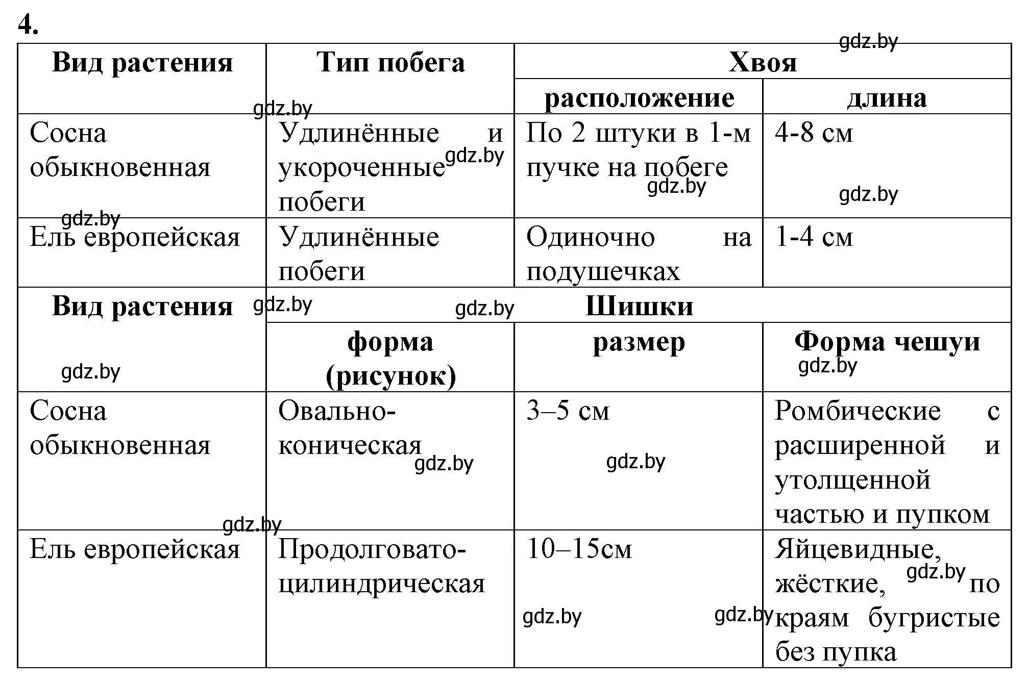 Решение номер 4 (страница 24) гдз по биологии 7 класс Лисов, тетрадь для лабораторных и практических работ