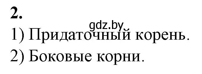 Решение номер 2 (страница 26) гдз по биологии 7 класс Лисов, тетрадь для лабораторных и практических работ