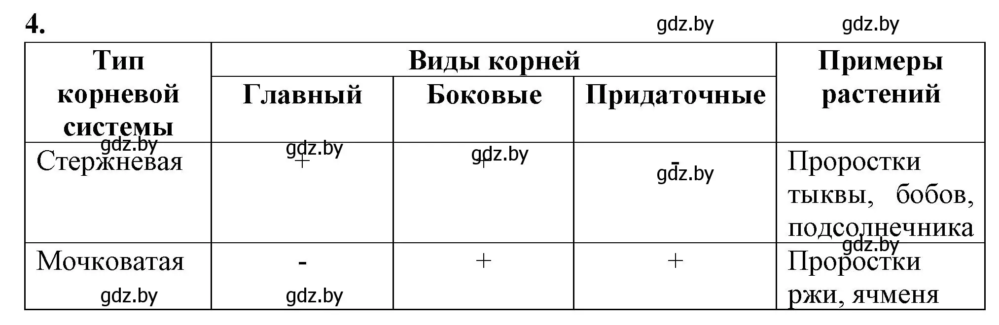 Решение номер 4 (страница 27) гдз по биологии 7 класс Лисов, тетрадь для лабораторных и практических работ