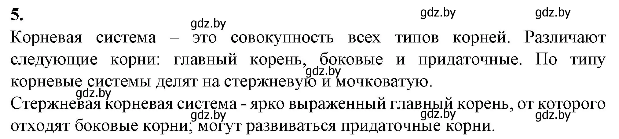 Решение номер 5 (страница 28) гдз по биологии 7 класс Лисов, тетрадь для лабораторных и практических работ